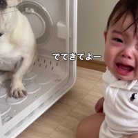 「出てきてよ～！！」