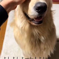 甘えん坊なＱ太くん2