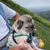 リフトに乗るデビちゃん