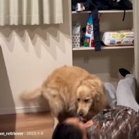 倒れる飼い主さん