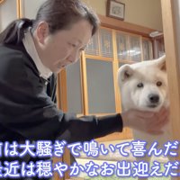 穏やかなお出迎え