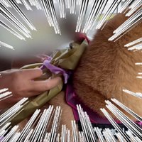 プレゼント担当はひまりちゃん