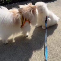まぐまぐちゃんを気遣うことも