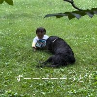 赤ちゃんと黒い犬2