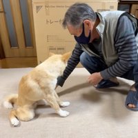 擦り合わせた手を犬の足に触れるおじいちゃん