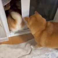 後に続く