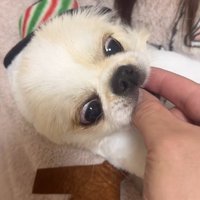 ぽてと君の瞬発力6