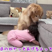 おからちゃんのために頑張ります