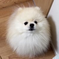 逆ギレ中の姿も可愛い（笑）