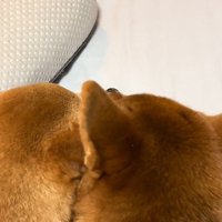 不穏な声が…