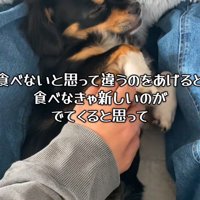 新しいご飯を食べたかったようです