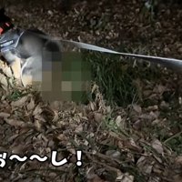 トイレをしてスッキリ♪