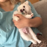 甘えん坊