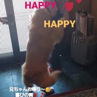 押し戻されるお兄ちゃん