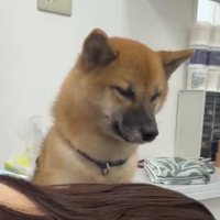 ハッ