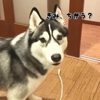 途中で人違いするも…