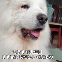 美意識の表れ！？
