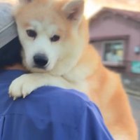 幸せなひとときです