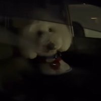 目が合ってフリーズ！！