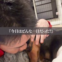 犬に優しく話しかける飼い主