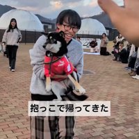 「飼い主探し」は迷子になって退場