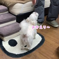 ナナくんとパパさんの再会7