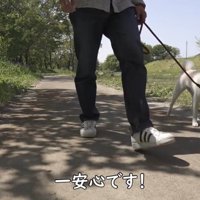 その後、お散歩を楽しみました♪