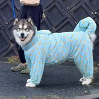 ニッコリ