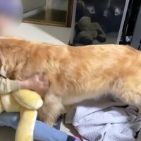 尊すぎる行動にホッコリ