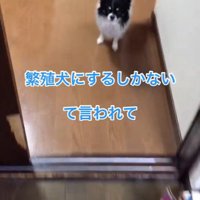 ちーちゃんとの出会い6