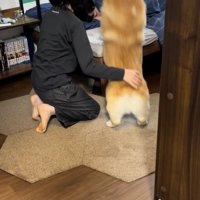 ベッドへジャンプ！