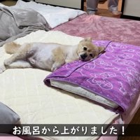 お風呂から出たら…