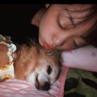 犬にキスする女の子