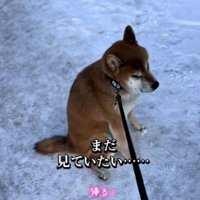 「まだ帰りたくない」