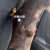喜びが止まりません