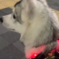 人の往来にも興味津々♪