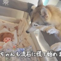 もんちゃんも怪訝な顔