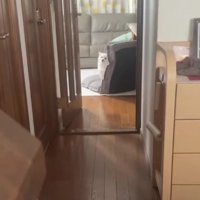 15時間ぶりにベラちゃんと再会