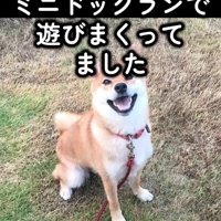 笑顔のハルちゃん