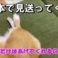 最低限の挨拶で済ます姿に爆笑