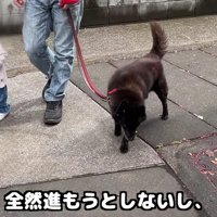 イトちゃんのペースに合わせます
