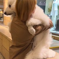 「もう歩きません…」