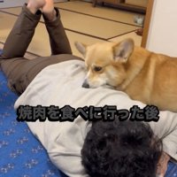 うつ伏せの人に顔を寄せる犬