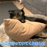 お風呂から上がるまで待っていてくれました♪