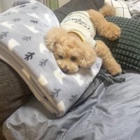 寂しくてしょんぼり…