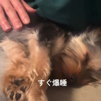 まっすぐな性格にホッコリ