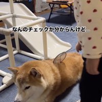 満遍なく