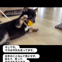 スクスク成長中！！