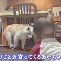 赤ちゃんのそばへ