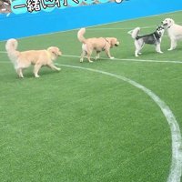 お兄ちゃんらしい行動に感動